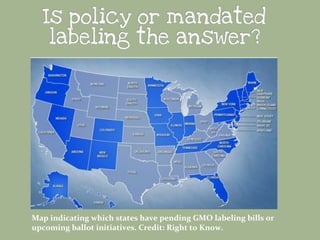 Map indicating which states have pending GMO labeling bills or
upcoming ballot initiatives. Credit: Right to Know.

 