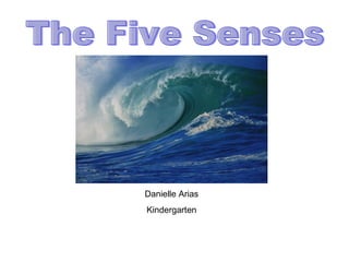 Danielle Arias Kindergarten The Five Senses 