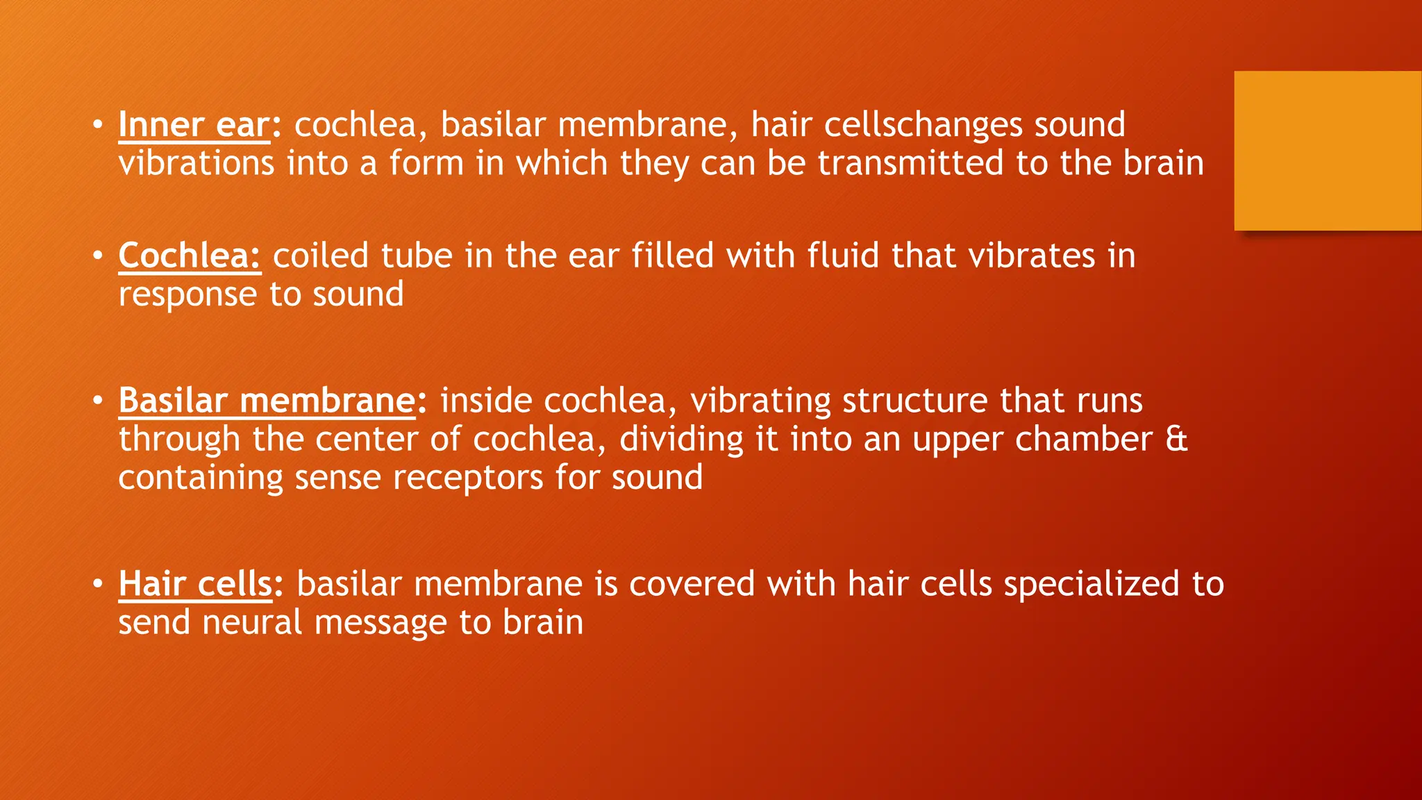 AUDITION and its components and sensory organs.pptx | Ear, Nose and ...