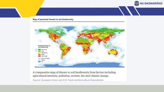 Biodiversity on science technology and society | PPTX