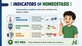 INDICATORS OF HOMEOSTASIS
Measurable conditions that show whether the
body is stable.
• Body Temperature
• Blood Glucose Level
• Blood Pressure
 