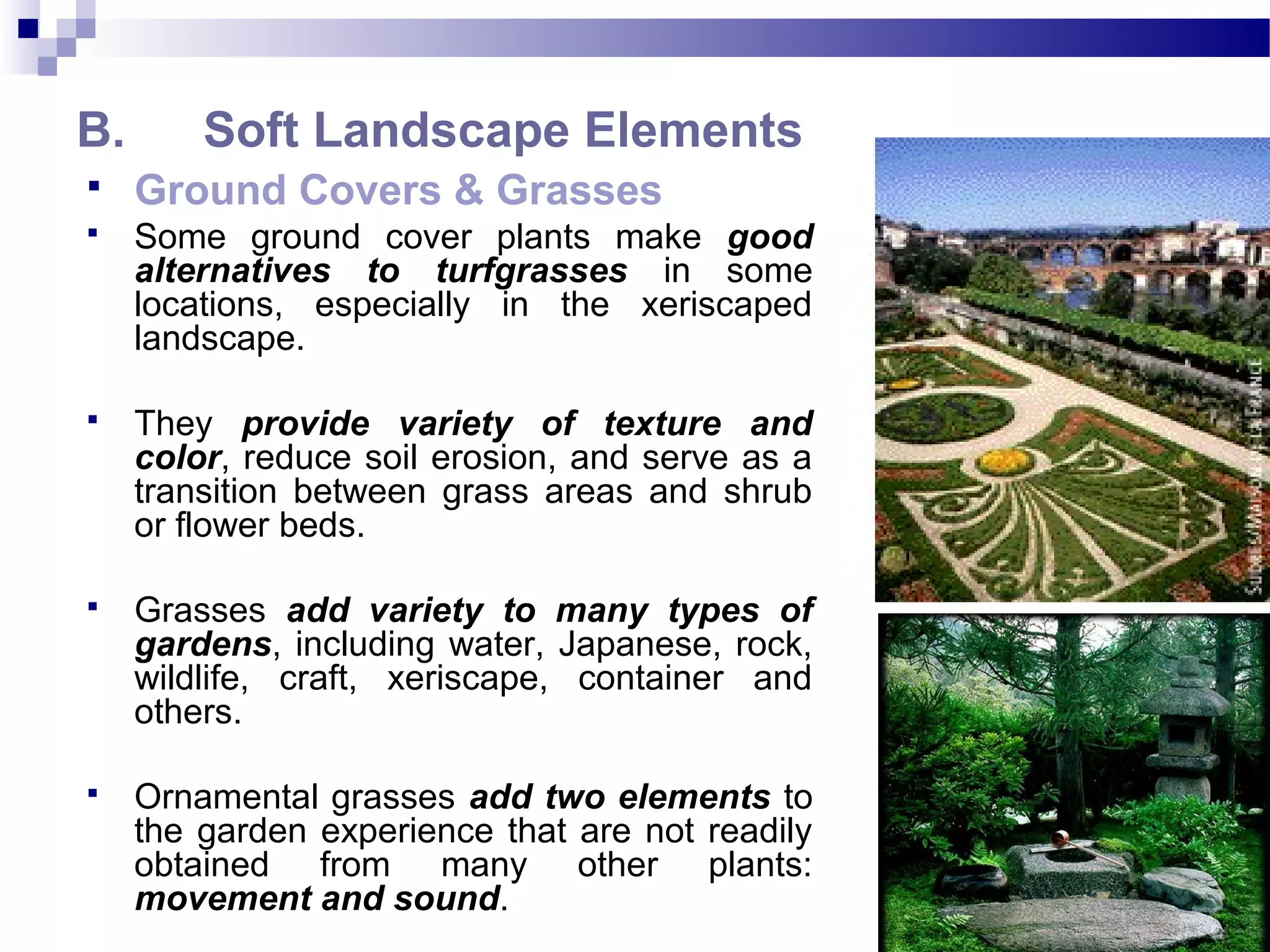 B. Soft Landscape Elements
 Ground Covers & Grasses
 Some ground cover plants make good
alternatives to turfgrasses in some
locations, especially in the xeriscaped
landscape.
 They provide variety of texture and
color, reduce soil erosion, and serve as a
transition between grass areas and shrub
or flower beds.
 Grasses add variety to many types of
gardens, including water, Japanese, rock,
wildlife, craft, xeriscape, container and
others.
 Ornamental grasses add two elements to
the garden experience that are not readily
obtained from many other plants:
movement and sound.
 