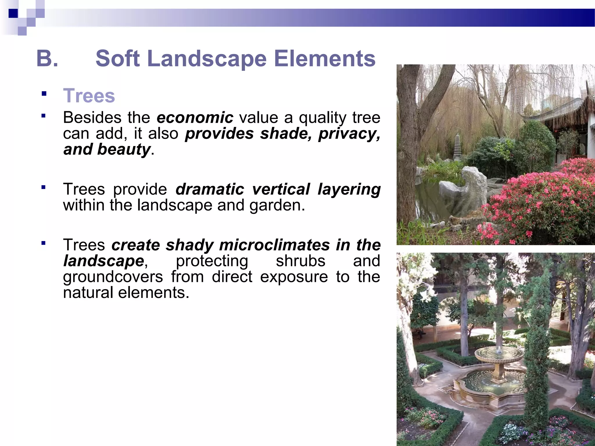 B. Soft Landscape Elements
 Trees
 Besides the economic value a quality tree
can add, it also provides shade, privacy,
and beauty.
 Trees provide dramatic vertical layering
within the landscape and garden.
 Trees create shady microclimates in the
landscape, protecting shrubs and
groundcovers from direct exposure to the
natural elements.
 