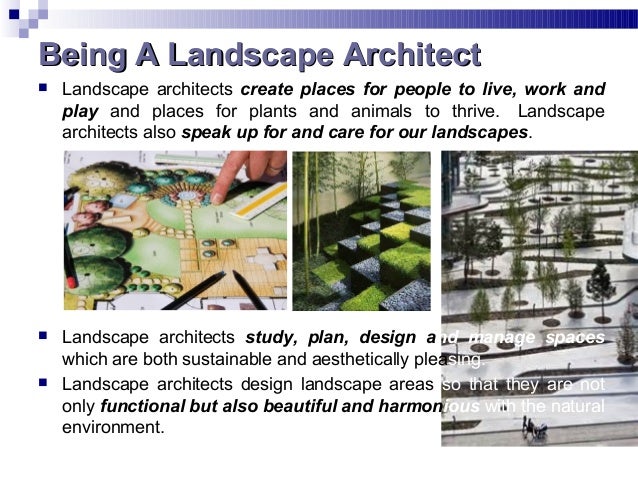 advantages and disadvantages of landscape architecture In 2012 on channel nine’s hit show, the block, dale and sophie won the landscaping challenge through clever use of a small space it was the plant selection, creative deck and gorgeous styling that lead them to win the gold bullion. advantages and disadvantages of landscape architecture In 2012 on channel nine’s hit show, the block, dale and sophie won the landscaping challenge through clever use of a small space it was the plant selection, creative deck and gorgeous styling that lead them to win the gold bullion.