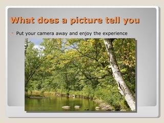 What does a picture tell you Put your camera away and enjoy the experience 