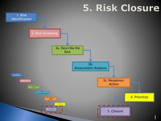 Final Risk Management Week 8 Risk Prioritization Final Documentation and ERM Timelines ...