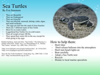 Sea Turtles By Eva Sorensen They are Beautiful They are Endangered They are Graceful They eat Jellyfish, seaweed, shrimp, crabs, algae, and small mollusks.     The eggs are laid into the sand of close beaches There are 7 different types of Sea Turtle Most live in warm waters  Loggerhead Sea Turtles live in cold waters They all weigh at least 100 lbs. They spend their entire life in the sea, except for when going to lay eggs   Badskin-Salzberg, Anita and Allen. "Sea Turtles." The following is a sample of the book: Turtles. N.p., n.d. WSeydenham S. R., Thomas. "Sea Turtles." animals. N.p., 2008. Web. 10 Feb 2011.   <http://www.kidcyber.com.au/topics/turtlesea.htm>. eb. 10 Feb 2011. <http://www.herpdigest.org/turtles/seaturt.htm>.   "Save the Sea Turtle foundation." Turtle blog. N.p., 2009. Web. 11 Feb 2011. <http://savetheseaturtle.org/?p=285>. How to help them: Don't litter   Don't release balloons into the atmosphere Don't turn beach lights on Boat carefully Adopt a Sea Turtle nest Recycle Donate to local marine specialists 