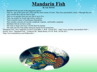 Mandarin Fish By Lily McNeil Mandarin Fish are part of the dragonets species They are one of the coral reef’s fish with the most variety of color. They have psychedelic colors. Although they are very colorful they still are hard to find They live in groups from just two fish to up to five.  They can usually be found right before sundown. Their scientific name is Synchiropus Splendidus.  They usually consume are mysids, amiphods, isopods,  and benthic copepods.  Mandarin fish do not have scales.  The male is larger and more colorful than the female.  The male also has long spikes along his dorsal fin for protection. "Mandarin Fish." New Approach To Dive 9/18/2006: 3. Web. 10 Feb 2011. <http://www.zerobar.org/mandarin-fish/>.   Sewell, Terry. "Mandarin Fish ." Fishbowl DC. Media Bistro, 4/5/10. Web. 10 Feb 2011. <http://www.mediabistro.com/fishbowldc/>. 