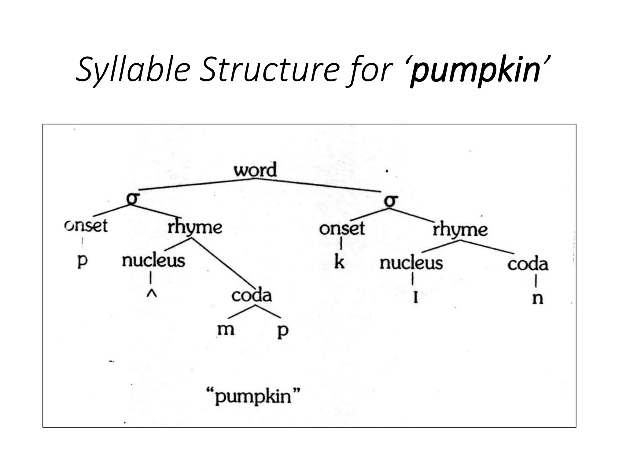 Syllable Structure for ‘pumpkin’
 