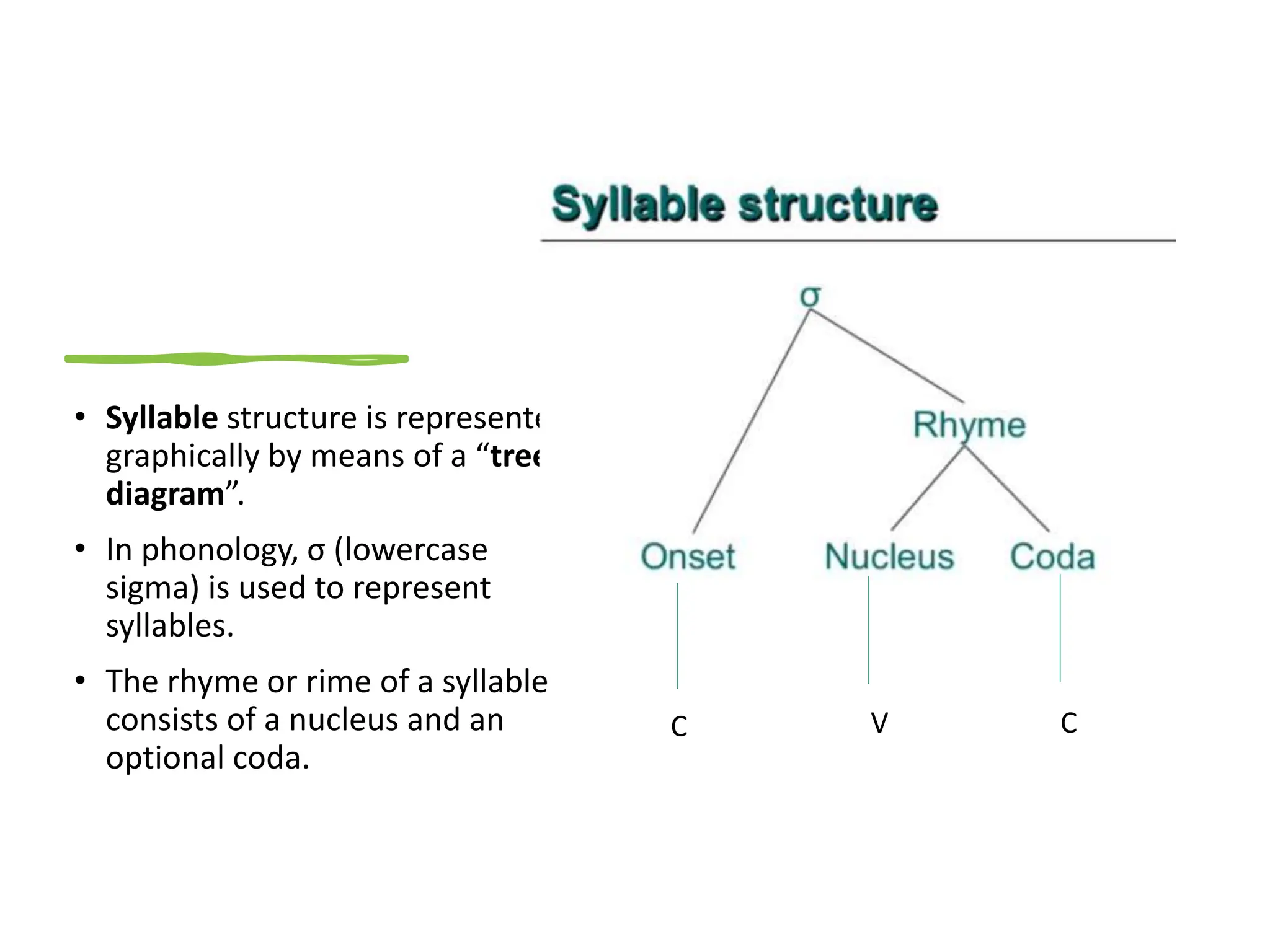 • Syllable structure is represented
graphically by means of a “tree
diagram”.
• In phonology, σ (lowercase
sigma) is used to represent
syllables.
• The rhyme or rime of a syllable
consists of a nucleus and an
optional coda.
C V C
 