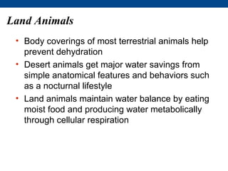 Land Animals
 • Body coverings of most terrestrial animals help
   prevent dehydration
 • Desert animals get major water savings from
   simple anatomical features and behaviors such
   as a nocturnal lifestyle
 • Land animals maintain water balance by eating
   moist food and producing water metabolically
   through cellular respiration
 