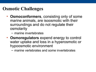 Osmotic Challenges
 • Osmoconformers, consisting only of some
   marine animals, are isoosmotic with their
   surroundings and do not regulate their
   osmolarity
   – marine invertebrates
 • Osmoregulators expend energy to control
   water uptake and loss in a hyperosmotic or
   hypoosmotic environment
   – marine vertebrates and some invertebrates
 