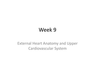 Week 9
External Heart Anatomy and Upper
Cardiovascular System
 