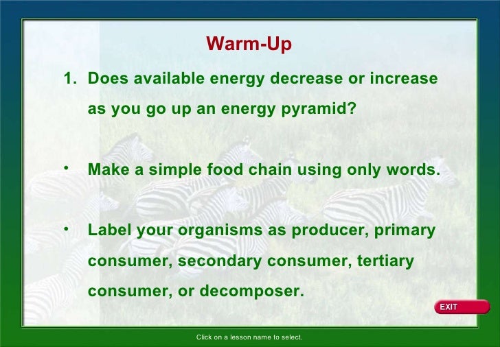 unit 5 energy metabolism Energy and metabolism all living organisms need energy to grow and reproduce often called the “molecular unit of energy currency” in intracellular energy. unit 5 energy metabolism Energy and metabolism all living organisms need energy to grow and reproduce often called the “molecular unit of energy currency” in intracellular energy.