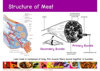 Structure of Meat



                                                        Primary Bundle
                          Secondary Bundle

 Lean meat is composed of long, thin muscle fibers bound together in bundles


                                                                               12
 