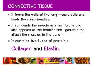 CONNECTIVE TISSUE
• It forms the walls of the long muscle cells and
  binds them into bundles.
• It surrounds the muscle as a membrane and
  also appears as the tendons and ligaments the
  attach the muscles to the bone
• It contains two types of protein :
  Collagen and Elastin.

                                                    17
 