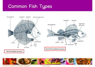 Common Fish Types




                    53
 