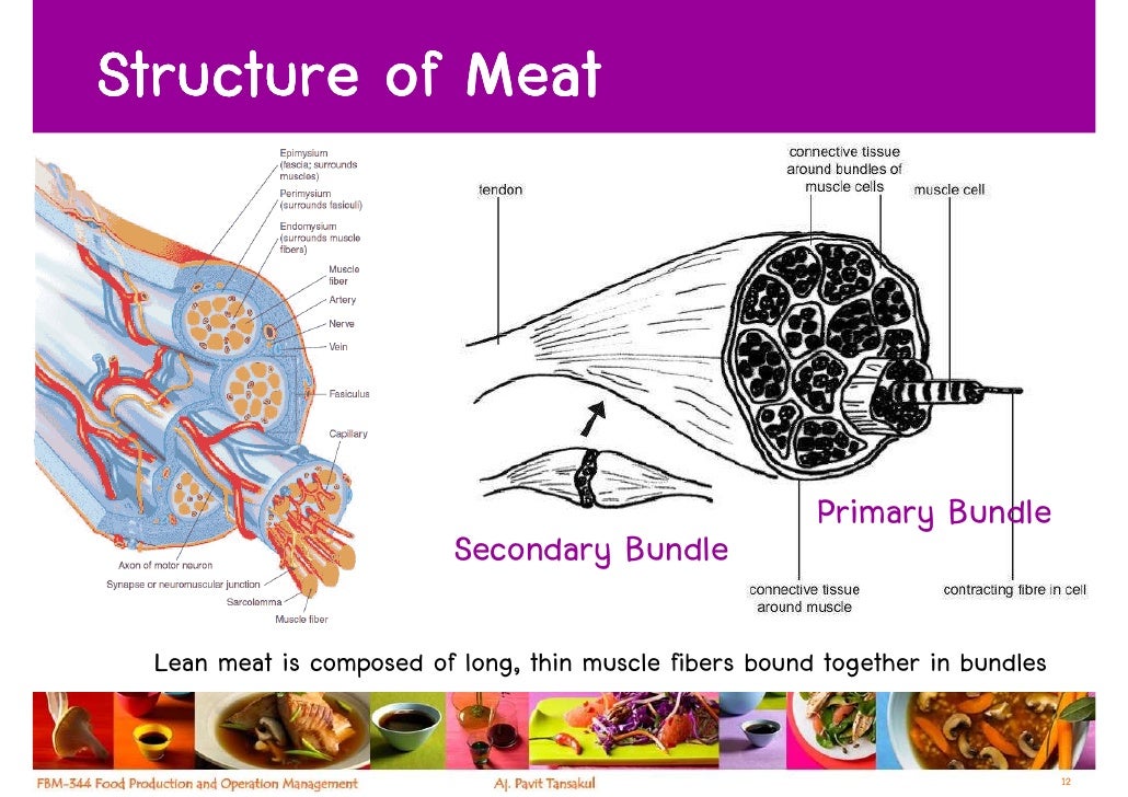 Week 9 Meat, Game And Poultry