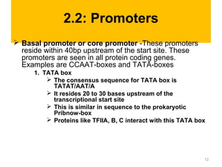 2.2: Promoters
 Basal promoter or core promoter -These promoters
reside within 40bp upstream of the start site. These
promoters are seen in all protein coding genes.
Examples are CCAAT-boxes and TATA-boxes
1. TATA box
 The consensus sequence for TATA box is
TATAT/AAT/A
 It resides 20 to 30 bases upstream of the
transcriptional start site
 This is similar in sequence to the prokaryotic
Pribnow-box
 Proteins like TFIIA, B, C interact with this TATA box
12
 