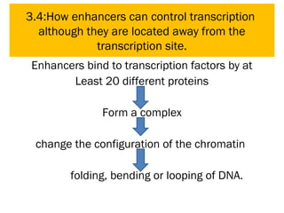 3.4:How enhancers can control transcription
although they are located away from the
transcription site.
Enhancers bind to transcription factors by at
Least 20 different proteins
Form a complex
change the configuration of the chromatin
folding, bending or looping of DNA.
 