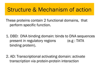 Structure & Mechanism of action
These proteins contain 2 functional domains, that
perform specific function.
1. DBD: DNA binding domain: binds to DNA sequences
present in regulatory regions (e.g : TATA
binding protein).
2. AD: Transcriptional activating domain: activate
transcription via protein-protein interaction
 