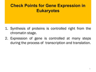 Check Points for Gene Expression in
Eukaryotes
1. Synthesis of proteins is controlled right from the
chromatin stage.
2. Expression of gene is controlled at many steps
during the process of transcription and translation.
3
 