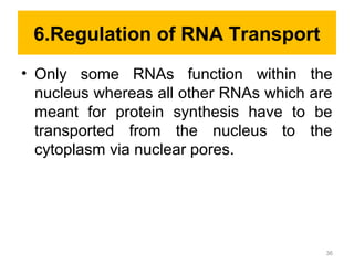 6.Regulation of RNA Transport
• Only some RNAs function within the
nucleus whereas all other RNAs which are
meant for protein synthesis have to be
transported from the nucleus to the
cytoplasm via nuclear pores.
36
 