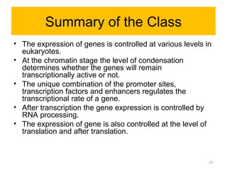 Summary of the Class
• The expression of genes is controlled at various levels in
eukaryotes.
• At the chromatin stage the level of condensation
determines whether the genes will remain
transcriptionally active or not.
• The unique combination of the promoter sites,
transcription factors and enhancers regulates the
transcriptional rate of a gene.
• After transcription the gene expression is controlled by
RNA processing.
• The expression of gene is also controlled at the level of
translation and after translation.
41
 