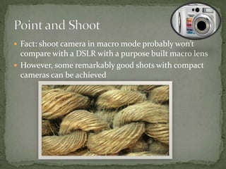 Has a permanently attached lens, usually with some level of optical zoom (i.e. 3x). The lens is smaller, as is the sensor. Right out of the box most of them do a pretty good job of taking macro photos.May sell accessory lenses for telephoto, wide angle, or macros. Nikon Coolpix 5200 you can shoot macros as close as 1.6 inches Point and Shoot