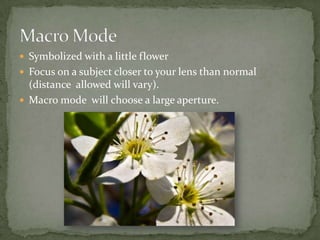 Fact: shoot camera in macro mode probably won’t compare with a DSLR with a purpose built macro lensHowever, some remarkably good shots with compact cameras can be achievedPoint and Shoot