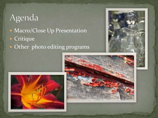 Macro/Close Up PresentationCritiqueOther  photo editing programs Agenda