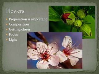 In close quarters, depth of field shrinks! Aperture - once in macro mode some cameras will not allow you to make many other adjustments but if you are able to play with your aperture settings it can be well worthwhile to do so.Don't forget that depth of field is very shallow, but this can be used to your advantage. Smaller apertures give greater  depth of field, but a slower exposure may be a disadvantage, particularly in windy conditions. This can be overcome with a fast film (ASA) or flash. Tips