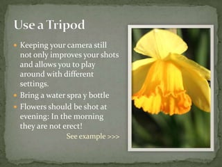 The World of Minitures