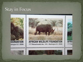 Look for reflections