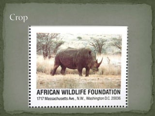 Don’t be afraid to get too closeExample