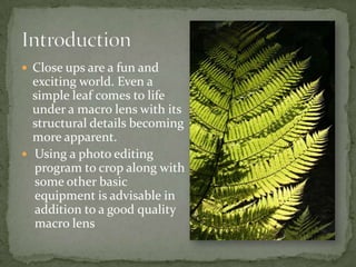 Close ups are a fun and exciting world. Even a simple leaf comes to life under a macro lens with its structural details becoming more apparent. Using a photo editing program to crop along with some other basic equipment is advisable in addition to a good quality macro lensIntroduction