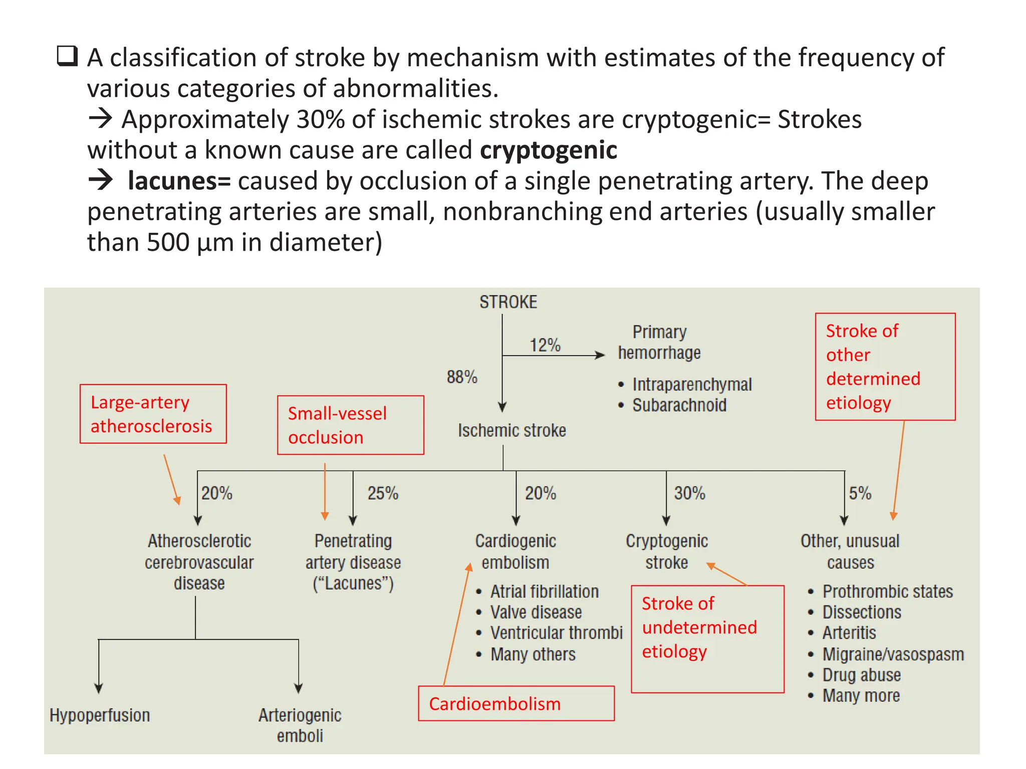 ❑ A classification of stroke by mechanism with estimates of the frequency of
various categories of abnormalities.
→ Approximately 30% of ischemic strokes are cryptogenic= Strokes
without a known cause are called cryptogenic
→ lacunes= caused by occlusion of a single penetrating artery. The deep
penetrating arteries are small, nonbranching end arteries (usually smaller
than 500 μm in diameter)
Large-artery
atherosclerosis
Small-vessel
occlusion
Cardioembolism
Stroke of
undetermined
etiology
Stroke of
other
determined
etiology
 