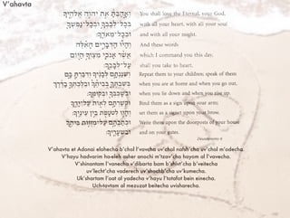 V’ahavta
V’ahavta et Adonai elohecha b’chol l’vavcha uv’chol nafsh’cha uv’chol m’odecha.
V’hayu hadvarim ha-eleh asher anochi m’tzav’cha hayom al l’vavecha.
V’shinantam l’vanecha v’dibarta bam b’shivt’cha b’veitecha
uv’lecht’cha vaderech uv’shochb’cha uv’kumecha.
Uk’shartam l’oat al yadecha v’hayu l’totafot bein einecha.
Uch-tavtam al mezuzot beitecha uvisharecha.
 