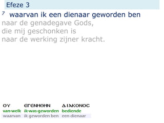Efeze 3
7 waarvan ik een dienaar geworden ben
naar de genadegave Gods,
die mij geschonken is
naar de werking zijner kracht.
 