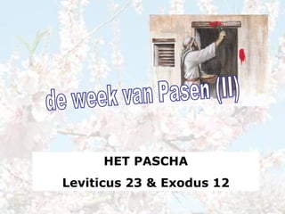 de week van Pasen (II) HET PASCHA Leviticus 23 & Exodus 12 