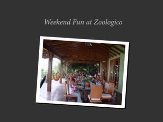 Weekend Fun at Zoologico
 