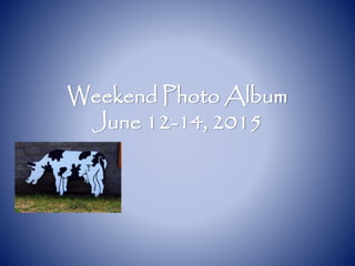 Weekend Photo Album
June 12-14, 2015
 
