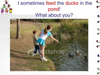 I sometimes feed the ducks in the pond!What about you?