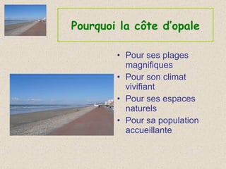 Pourquoi la côte d’opale Pour ses plages magnifiques Pour son climat vivifiant Pour ses espaces naturels Pour sa population accueillante 