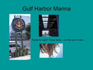 Gulf Harbor Marina Racks for sale? These racks…not this sort of rack… 