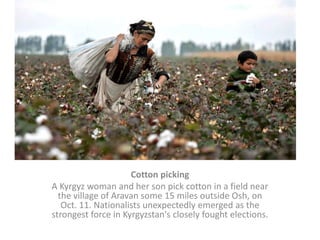Cotton pickingA Kyrgyz woman and her son pick cotton in a field near the village of Aravan some 15 miles outside Osh, on Oct. 11. Nationalists unexpectedly emerged as the strongest force in Kyrgyzstan's closely fought elections.