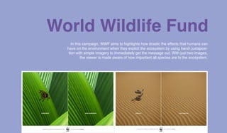 World Wildlife Fund
In this campaign, WWF aims to highlights how drastic the effects that humans can
have on the environment when they exploit the ecosystem by using harsh juxtaposi-
tion with simple imagery to immediately get the message out. With just two images,
the viewer is made aware of how important all species are to the ecosystem.
 