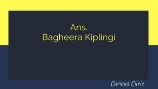 Ans.
Bagheera Kiplingi
Curious Curie
 