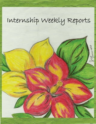 Internship Weekly Reports
 