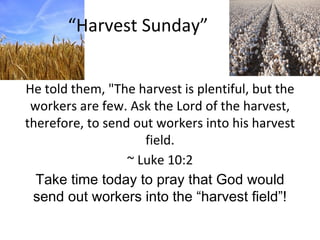 “ Harvest Sunday” He told them, &quot;The harvest is plentiful, but the workers are few. Ask the Lord of the harvest, therefore, to send out workers into his harvest field. ~ Luke 10:2 Take time today to pray that God would send out workers into the “harvest field”! 